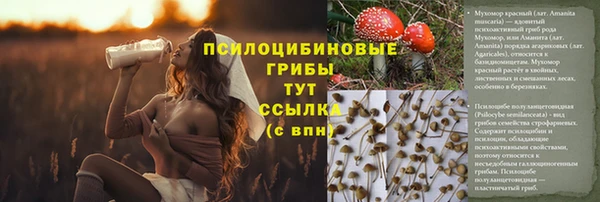 2c-b Алзамай