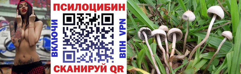 Галлюциногенные грибы GOLDEN TEACHER купить цена Октябрьск